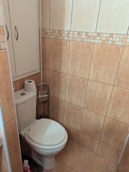 Pronájem bytu 1+1 33 m² U Splavu, Břeclav - 6