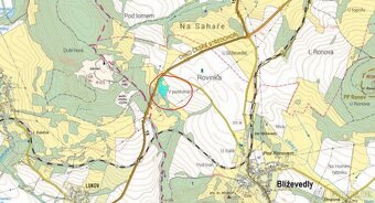 Prodám lesní pozemek v k.ú. Blíževedly - 6