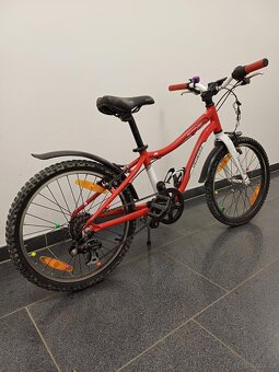 Special Hotrock 20" - 6