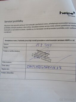 Pitbike Dorado DT140 17"/14" - 6