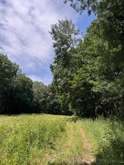 Prodám pozemky v katastrálním území Stará Hlína - 6