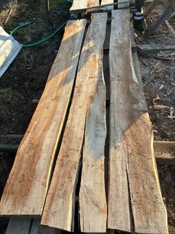 Jilm fošny, prkna - 6