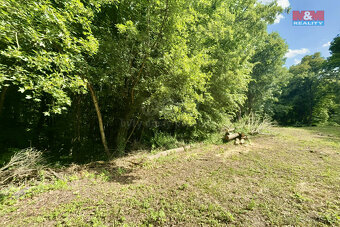 Prodej zahrady, 2923 m², Šarovy - 6