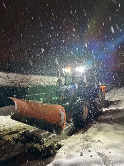 New Holland + Palms - 6
