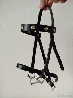 Hobby horse larden - 6