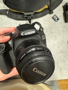 Canon EOS 1300D, 18-55mm (f/3.5 - 5.6) + 50mm (f/1.8) - 6
