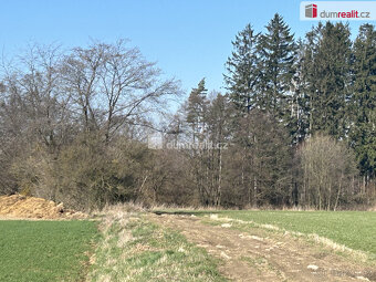 Prodej lesních pozemků, Vlkanov, okr. Havlíčkův Brod - 6