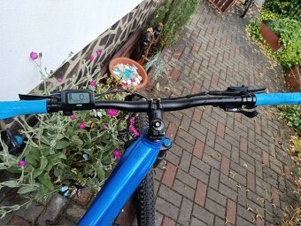 PELLS Thorr First ER - 6