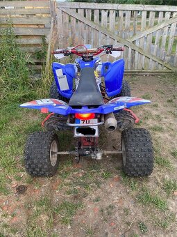 Yamaha raptor 350 - 6