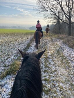 Aktivní ustájení - 6