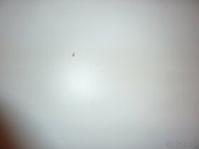 2x Kychyňská dvířka dolní š 50 cm - oboje za 150,- - 6