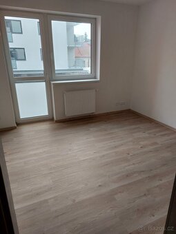 Pronajem 3kk Dašice - 6