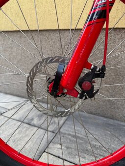 Horské kolo - Specialized - Hardrock - 6