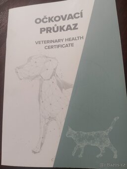 Jezevčík drsnosrstý štěňátko s PP váha 3 kg - 6