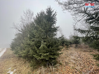 Prodej, les, 20974 m2, Ústí u Staré Paky - 6