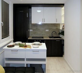 Pronájem vybaveného bytu, po celkové rekonstrukci, 1+1, 40m2 - 6