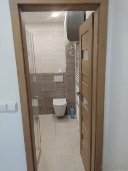 Pronájem bytu 1+kk na Slovanech, ulice Zahradní, Plzeň - 6