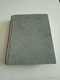 Sochařství baroku v Čechách + Západní Čechy + Československá - 6