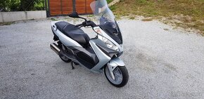 Skutr Malaguti Madison 3 250ie - 6