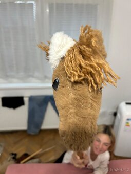 Hobby horse - 6