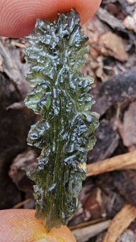 Vltavíny Besednice - 6