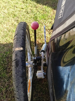 Croozer Kid for 1 - 6