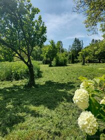 Prodej stavebního pozemku 2270m2, obec Supikovice - 6
