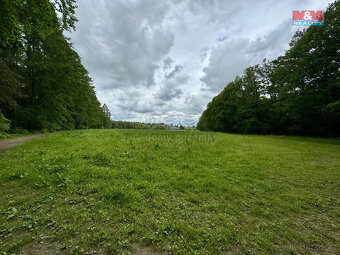 Prodej louky, 11239 m², Svojetice - 6