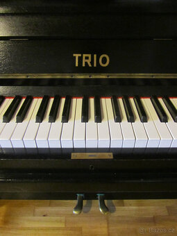 Piano TRIO - 6