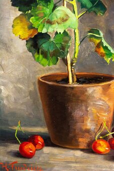 Zátiší s muškáty, H.Friedrich, 375 × 615 mm - 6