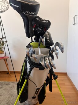 Titliest CB 712 + Callaway + Vokey + Odyssey Putter - 6