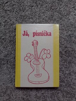 Prodám klasickou kytaru Cort AC100DX OP - 6
