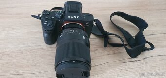 Sony a7iii - 6