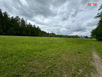 Prodej louky, 19172 m², Svojetice - 6