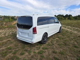 Mercedes Benz V 300D / AVANTGARDE / L / AMG - 6