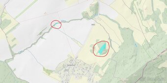 Prodám lesní pozemky v k.ú. Petřkovice u Starého Jičína - 6