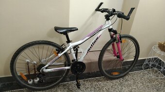 Dívčí kolo Author 26 - 6