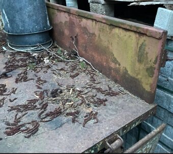 Vlek za malotraktor - 6