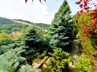 Prodej,rodinný dům, Březová nad Svitavou - 6