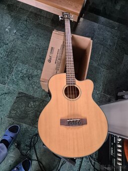 Ak.basa cort + kombo cort 40W - zánovní - 6