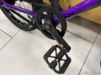 Rascal 16 LTD - 6