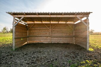 Pastevní ustájení koní - Bohumileč u Rokytna - 6