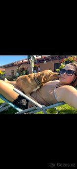 Sháníme nový domov - 6