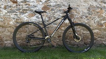Rock Machine Manhattan 29 - 6