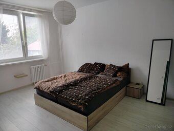 Pronájem bytu 2+1 58 m² - 6