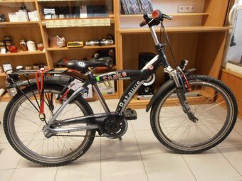 Dětské kolo Batavus Snake 24" - 6