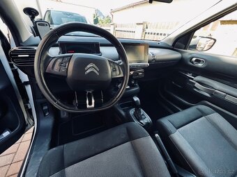 C4 Cactus - 6