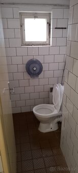 Pronájem nebytových prostor (80 m2) v Roudnici nad Labem - 6