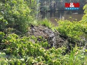 Prodej vodní plochy - rybník, 13.432 m², Luhov u Toužim - 6