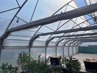 Fóliovník 18x10 - 6